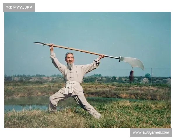 南无拳传承人演绎洛阳本土拳种刚柔并济独具魅力风采